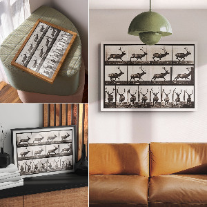 Wandposter Tierische Fortbewegung