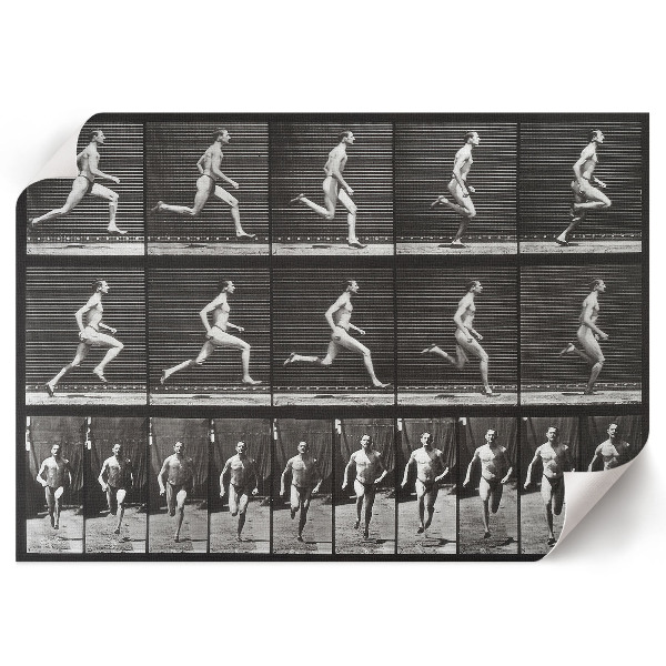 Poster bilder Tierische Fortbewegung