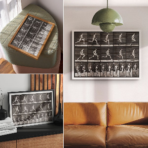 Poster bilder Tierische Fortbewegung