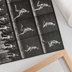 Poster bilder Tierische Fortbewegung