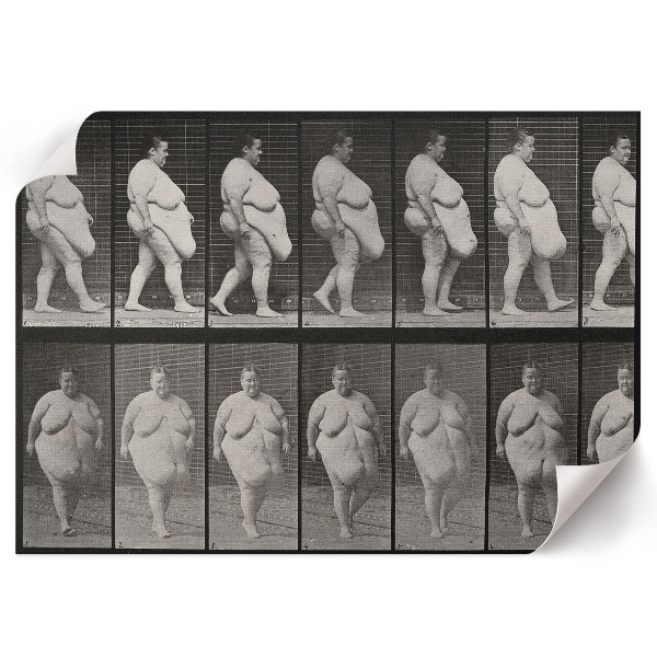 Poster bilder übergewichtige Frau