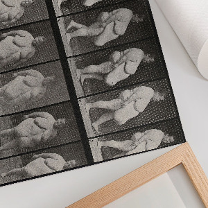 Poster bilder übergewichtige Frau