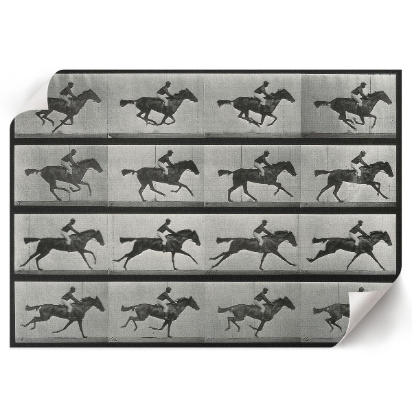 Poster druck Galoppierendes Pferd