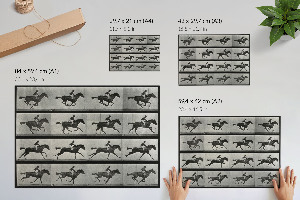 Poster druck Galoppierendes Pferd