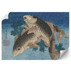 Wandposter Karpfen im Seetang