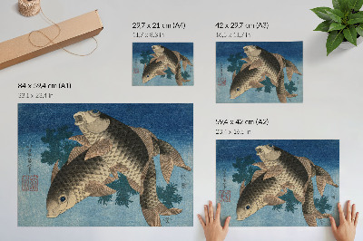 Wandposter mit Karpfen im Seetang
