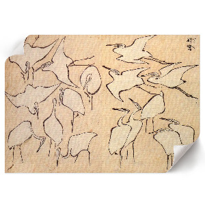 Poster bilder Reiher