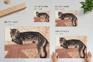 Poster bilder Eine Katze auf dem Geländer