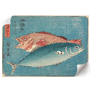 Poster druck Gelbschwanzmakrele und Barsch