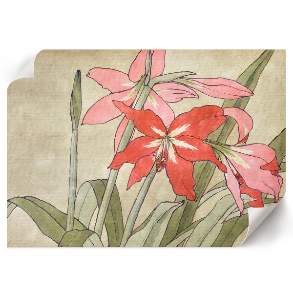 Poster mit Amaryllis-Motiv
