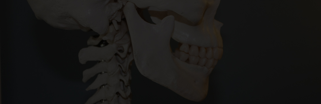 Anatomie-Poster Seite 2